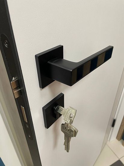 Межкомнатная дверь  